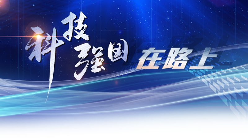 企业搜索系统定制开发：揭秘高效信息检索的幕后流程**